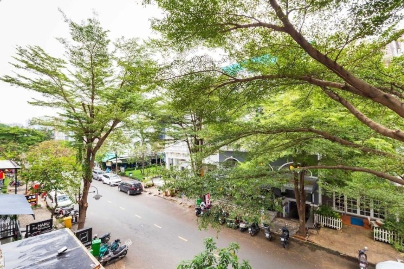 Pine Tree Căn hộ *